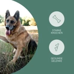 Mammaly Happy Hips 110g 9 Mammaly Happy Hips 110g -Zoofachgeschäft 3c8bff51a0475eda30226950bbfaf91b8c4d5bf4 1472886 1 3