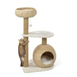 AniOne Kratzbaum Saki 17 AniOne Kratzbaum Saki -Zoofachgeschäft 3ca3b648185a373e229005df7555083cfb5743b6 0675754154c521b141097c888178be1dbd0158d0