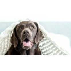 Mammaly Relax Time 110g -Zoofachgeschäft 3dd35fe2b92d8dcd6709afd1b3b41791517f9181 1472888 4