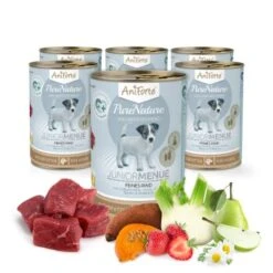 Aniforte Nassfutter Junior Menue Rind 6 X 400g 11 Aniforte Nassfutter Junior Menue Rind 6 X 400g -Zoofachgeschäft 402a9b9d2183eed6abb74548c8f3155076eb06e9 1422191 de DE 86615239e407725a9b56342f450365002447da85WbuRXk