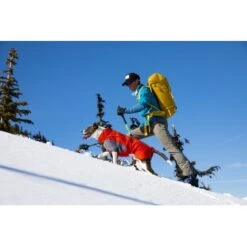 Ruffwear Furness™ Hundejacke Grau S -Zoofachgeschäft 4087147dd56ca23b69da19a23095df2e3fcf8a0d 1639614 de DE 93126a293d8b745c831f949261942ce96e13bb7etLLUVR