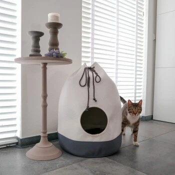 District 70 Höhle Casa Grau 3 District 70 Höhle Casa Grau – Bild 3