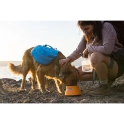 Ruffwear Bivy™ Faltbarer Napf 7 Ruffwear Bivy™ Faltbarer Napf -Zoofachgeschäft 4140647db86a38cf4570619b84fee47c2e93a2a4 1651613 de DE 630547660feb4541e6b03e31b8ce01e33874e82by3Y5Tq