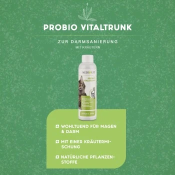 MediCat Probio Vitaldrunk 4 MediCat Probio Vitaldrunk – Bild 4