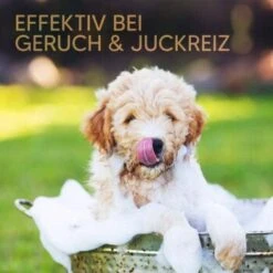 Pawlie's Welpenshampoo 11 Pawlie's Welpenshampoo -Zoofachgeschäft 42f9c58257fb2002e5c33c2d81bd829c9adeb1cc 1626204 de DE 8b17d3990cf88ea437c76c60b6848183bc9636a5a44ihJ