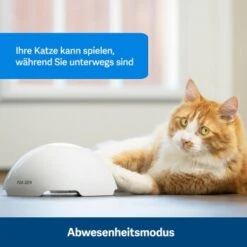PetSafe Automatisches Katzenspielzeug Fox Den 10 PetSafe Automatisches Katzenspielzeug Fox Den -Zoofachgeschäft 436796eddc653fbc5ba6c19e00138d58f340ef52 1351524 de DE 2c07966cfa5d20e79e732d930dea56115af33e3axxjuix