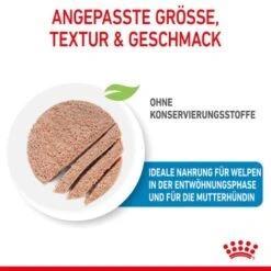 ROYAL CANIN Starter Mousse 12x195g 14 ROYAL CANIN Starter Mousse 12x195g -Zoofachgeschäft 460ae1eaaa29330e0bada96cf27a9bde040c20a9 9003579010532 4