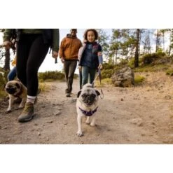 Ruffwear Front Range™ Leine Violett 18 Ruffwear Front Range™ Leine Violett -Zoofachgeschäft 471debc6c9caa0c928b80631a0e7808038d19c31 1651455 de DE 13a2d9c30381b5aaef7023e308a1fd580ae9822fU7WZfC