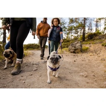 Ruffwear Front Range™ Leine Violett 9 Ruffwear Front Range™ Leine Violett – Bild 9