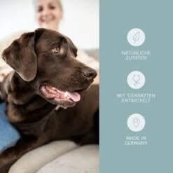 Mammaly Relax Time 110g -Zoofachgeschäft 47b0514aa339d6921a137cd64a4de801a1989a4a 1472888 3