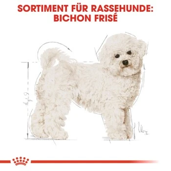 ROYAL CANIN Bichon Frisé Adult 1,5 Kg 5 ROYAL CANIN Bichon Frisé Adult 1,5 Kg – Bild 5