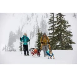 Ruffwear Vert™ Hundejacke Blau/ Türkis XS 19 Ruffwear Vert™ Hundejacke Blau/ Türkis XS -Zoofachgeschäft 4884d1fb308119bdbd85338ca39d0360fc2661ed 1369612 de DE 011ac430af1497c1c9abc3b9ca96058ddb34571cXmp5YY