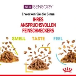 ROYAL CANIN SENSORY Smell In Gelee Für Wählerische Katzen 12x85g -Zoofachgeschäft 4a632532d23d065e189b82401db5c561b6749e74 bbe7e159ee2cfcc0155771b211da953377ec5c40