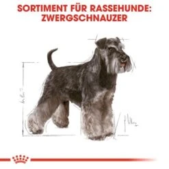 ROYAL CANIN Zwergschnauzer Adult 3kg 9 ROYAL CANIN Zwergschnauzer Adult 3kg -Zoofachgeschäft 4b254e5382fabcd23f48acb6657e77713d8a691f 070e96f3f4004e947ccdcc877c4e123371366cdd