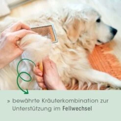 Fell & Haut Vital 150 G 10 Fell & Haut Vital 150 G -Zoofachgeschäft 4b5f7de965eae94531d5560734f33444a0071a93 1049905 de DE 2d1bc3a540575105062fbc54df85eb515b459321CnG7ce