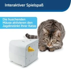 PetSafe Automatisches Katzenspielzeug Cheese 12 PetSafe Automatisches Katzenspielzeug Cheese -Zoofachgeschäft 4bf213762b84458348ad4dde222bccd0d8e6f0a8 1418723 de DE 66b781419c3a9a05dbaecf1b142c67f8ea6f21fbRLCfdd