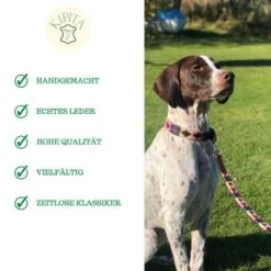 Kipita Polo Hundeleine Gentle 11 Kipita Polo Hundeleine Gentle -Zoofachgeschäft 4c7d807d8dc9f13c021acc13ed364f071968f707 1410958 de DE ab73ccff7516f69dc6994bbfcac2aa883cd0ea252lbuCU