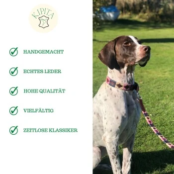 Kipita Polo Hundeleine Gentle 6 Kipita Polo Hundeleine Gentle – Bild 6