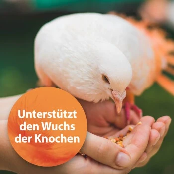 Quiko Forte 500g: Mineralien, Spurenelemente Und Vitamine Für Ziervögel 2 Quiko Forte 500g: Mineralien, Spurenelemente Und Vitamine Für Ziervögel – Bild 2