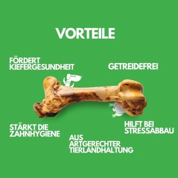 Irish Pure Giant Beef Bone 2 Irish Pure Giant Beef Bone – Bild 2