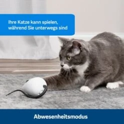 PetSafe Automatisches Katzenspielzeug RoloRat -Zoofachgeschäft 4e48313abe110e77b48862456b3054c8cbc622dd 1351522 de DE cc35ab35cec54291341f643ff079f60e72f56895BvuHXl