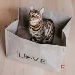 Canadian Cat Company Katzenbett Winnipeg 14 Canadian Cat Company Katzenbett Winnipeg -Zoofachgeschäft 4f163c23f3c00759be25633fb22100eb50b10eed 1360995 de DE e27163ea0c21fd571c9e22268b69a4d1b68affe5UBt2yy