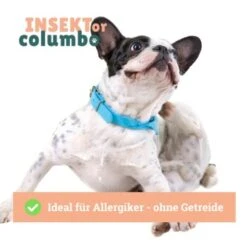 BeG Buddy Trockenfutter Insekten, Hypoallergenes Insektenfutter - Sensitive 4 Kg 12 BeG Buddy Trockenfutter Insekten, Hypoallergenes Insektenfutter - Sensitive 4 Kg -Zoofachgeschäft 519a458e80717dfef53f62500e2bfaca88b83030 1457248 de DE 4e178ddbc2b2fdbf0c31f82dc0c4f17ba0e1886aEkeJ0K