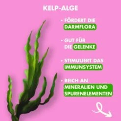 Irish Pure - Lamm, Huhn + Gemüse & Kelp 1,5 Kg -Zoofachgeschäft 527ec7baa2a3e80bcac0c1cde535b92d605f38d5 1274251 de DE 88d675ba0abf74bb033298bd2dc7e9ecc2e4cb56ZJYwrx