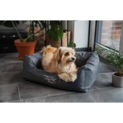 TrendPet Viscado Orthopädisches Hundebett Grau S -Zoofachgeschäft 53767eb5fa18c09af83c41a099a76459282b8d5d 1223491 de DE 389224d5322521064b4406daae05b01140401710O1LkLo