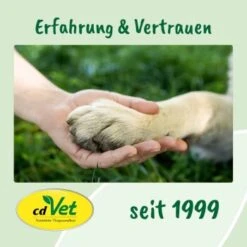 DentaVet Gel 35g 15 DentaVet Gel 35g -Zoofachgeschäft 545e087e057912f1eb130f03a5533927e129f40b 1249039 de DE f215127866d604991b4efc218004018ddf4470952Q2KTf