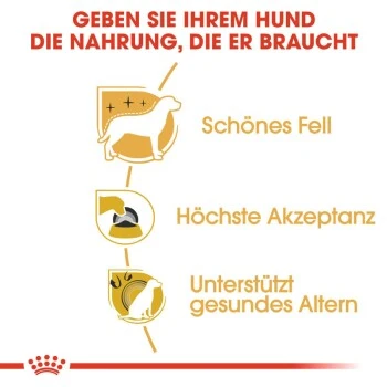 ROYAL CANIN Yorkshire Terrier Adult 1,5 Kg 5 ROYAL CANIN Yorkshire Terrier Adult 1,5 Kg – Bild 5