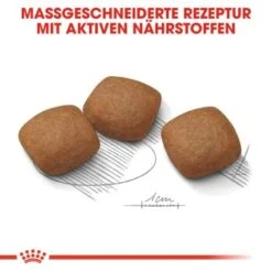 ROYAL CANIN Maxi Joint Care 10 Kg -Zoofachgeschäft 569e889f6a1e35c2b0a655a3c09e2da96cdb9f8f 882d120e273f03a8bf1786c9c932f743d3d39c92