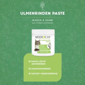 MediCat Ulmenrinde Paste 4 MediCat Ulmenrinde Paste – Bild 4