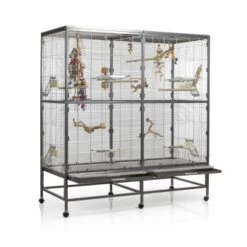 Montana Cages Voliere Paradiso 150 Hellgrau/ Dunkelgrau 12 Montana Cages Voliere Paradiso 150 Hellgrau/ Dunkelgrau -Zoofachgeschäft 57d765c5251d220f7fb80b9e17dd7c30bed7aa9a 1330426 de DE 32a0a07122e2d2167ed99c854ac82bd80c6ddd4fR7g0HT