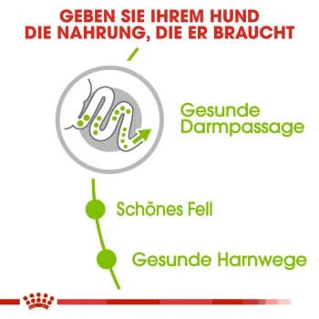 ROYAL CANIN X-Small Adult 3 Kg 5 ROYAL CANIN X-Small Adult 3 Kg – Bild 5