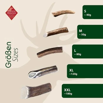 ChronoBalance Geweih Halbiert (XXL) 2er Paket 5 ChronoBalance Geweih Halbiert (XXL) 2er Paket – Bild 5