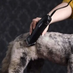 Moser Schermaschine Max 45 Inkl. ASK 8 Moser Schermaschine Max 45 Inkl. ASK -Zoofachgeschäft 65133088ba136d425f35dd483b34ae61c5e8b1c4 080d5e15fa2a49473a689925f30b8711ef011135