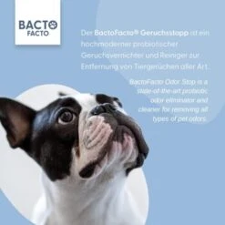ChronoBalance BactoFacto Probiotischer Geruchsstopp Pads Für 2 Liter 20 Ml 9 ChronoBalance BactoFacto Probiotischer Geruchsstopp Pads Für 2 Liter 20 Ml -Zoofachgeschäft 6515b6e6800e68909a0a5f7e0f816613e8c36542 1397549 de DE 9a466fcf5c88e78df191b07c6d764f4746df49dcxtsIbT