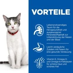 Hill's Science Plan Senior 11+ Mit Huhn 3 Kg 11 Hill's Science Plan Senior 11+ Mit Huhn 3 Kg -Zoofachgeschäft 65355ea3910df3a9bf78bcc29cf7e0f454b27f86 52742023359 4