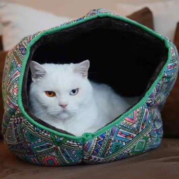 Canadian Cat Company Katzentunnel COSMO M 5 Canadian Cat Company Katzentunnel COSMO M – Bild 5