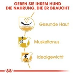 ROYAL CANIN Mops Adult 3 Kg 11 ROYAL CANIN Mops Adult 3 Kg -Zoofachgeschäft 692380ccc5f5993b19ae774e1237a0f22805c9c6 d7ec305189a355501b117198a53c0db1b2b911df