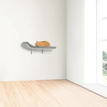 AniOne Wandliegeplatz Outlook 2 AniOne Wandliegeplatz Outlook – Bild 2