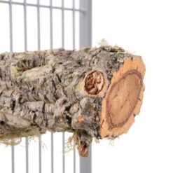 HappyBird Sitzstange Natur Kork L -Zoofachgeschäft 6d0844a7f422e6e4f6d2b4a1c2445fcf479ee982 1416844 de DE d001d22e180e742217b40dd4057bd56a2e5e966aWpo2YW