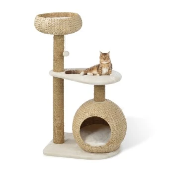 AniOne Kratzbaum Saki 1 AniOne Kratzbaum Saki