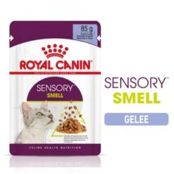 ROYAL CANIN SENSORY Smell In Gelee Für Wählerische Katzen 12x85g