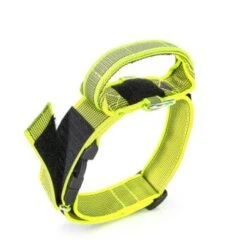 Julius K9 JULIUS-K9 Halsband Mit Griff 50mm Neon Gelb 6 Julius K9 JULIUS-K9 Halsband Mit Griff 50mm Neon Gelb -Zoofachgeschäft 6d974eed80600aae5610e6f937ce73cb97345cc1 1346788 de DE K9 3