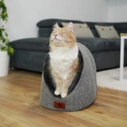 Schlitzohr Katzenhöhle Oskar Grau 18 Schlitzohr Katzenhöhle Oskar Grau -Zoofachgeschäft 6dc322d0c0c691311c750126461acbb0bfd7f106 1484676 de DE cf48f7f4d140da3e59fb3189e3029debd29d4937tKSJNT