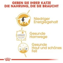 ROYAL CANIN British Shorthair 12x85g 11 ROYAL CANIN British Shorthair 12x85g -Zoofachgeschäft 6f1dc92b9b52a43d2267d34aab253596e7be143a 7f0fd40bf73b9dd0972df6cd9651a951bdb28212