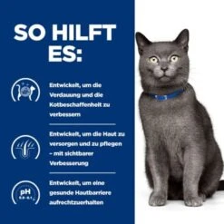 Hill's Prescription Diet D/d Food Sensitivities 3 Kg 12 Hill's Prescription Diet D/d Food Sensitivities 3 Kg -Zoofachgeschäft 715c2a71513f1156c0e6f5987afb0d86de83e8ad 52742047584 5