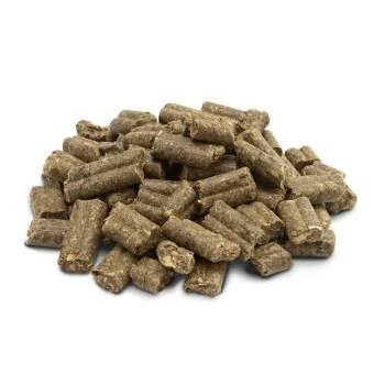 Versele-Laga Crispy Pellets - Maintenance Rabbits 25kg 2 Versele-Laga Crispy Pellets - Maintenance Rabbits 25kg – Bild 2